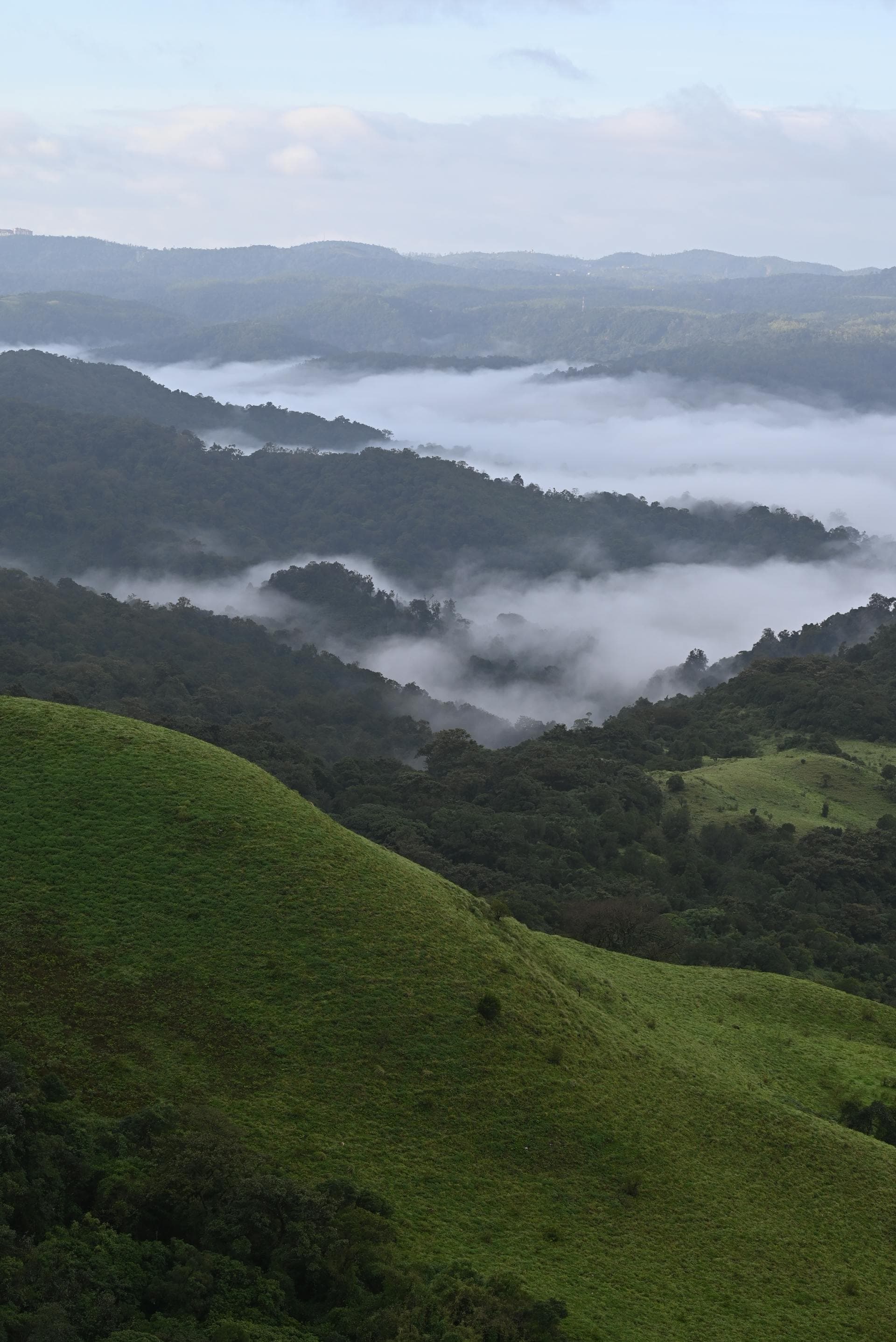 A green hillside landscape in Coorg, Karnataka