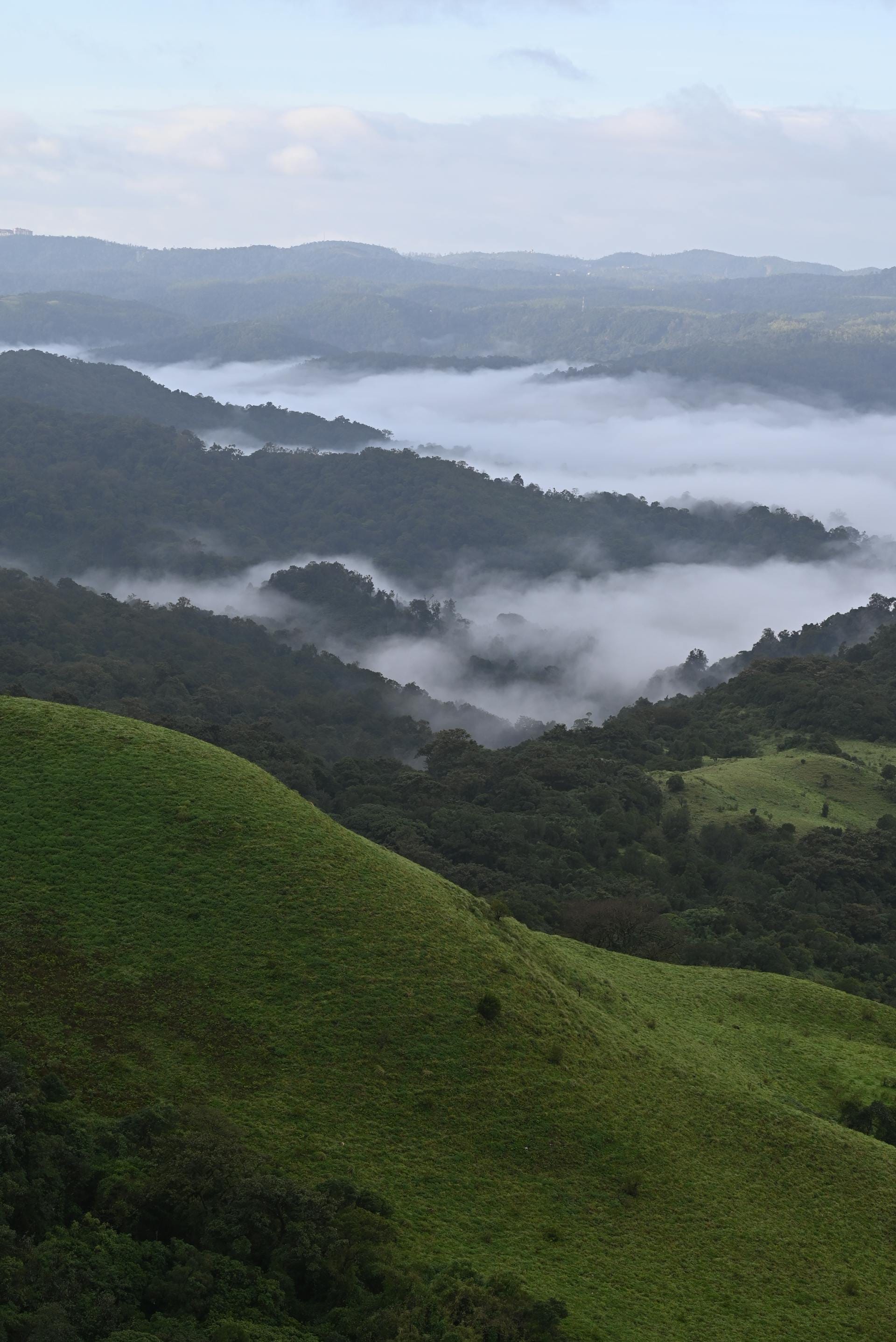 A green hillside landscape in Coorg, Karnataka