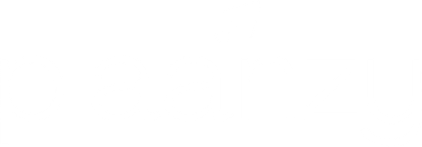 plaanzy